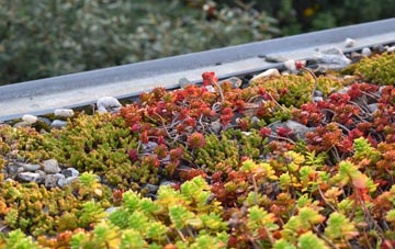 the cost of Upper Heyford green roof installation