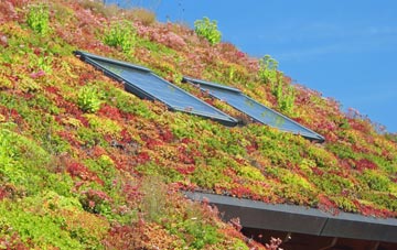 Upper Heyford living roof systems